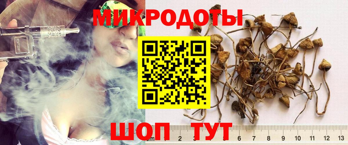 Псилоцибиновые грибы мухоморы Новоалтайск