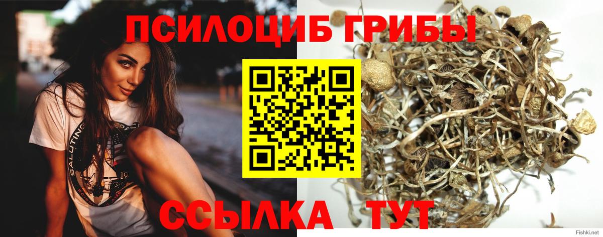 Галлюциногенные грибы ЛСД  Вход с VPN  Галлюциногенные грибы ЛСД  Новоалтайск 